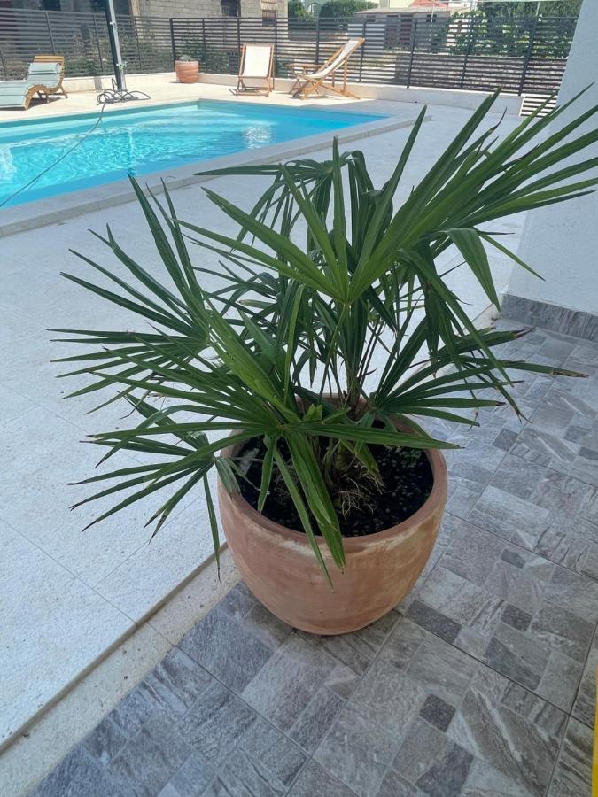 Villa Iva וודיצה מראה חיצוני תמונה